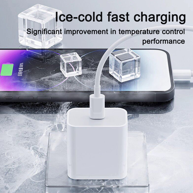 US EU Adapter 20W PD Fast Char - đánh giá và giá Tech Accessories Phone